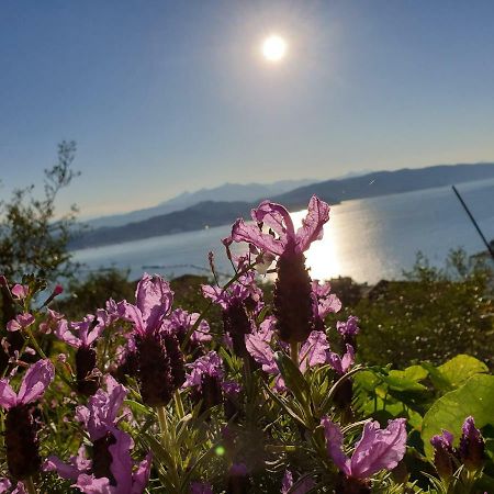 Il 23 Holiday Home La Spezia Eksteriør bilde